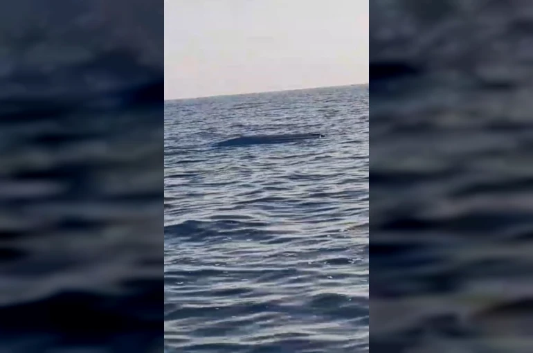 Karadeniz kıyılarında bir insansız deniz aracı şüphesi daha