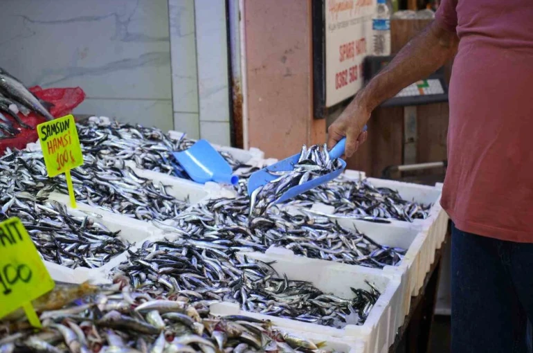 Karadeniz’in incisi hamsi tezgahlarda: Ne alırsan 100 TL