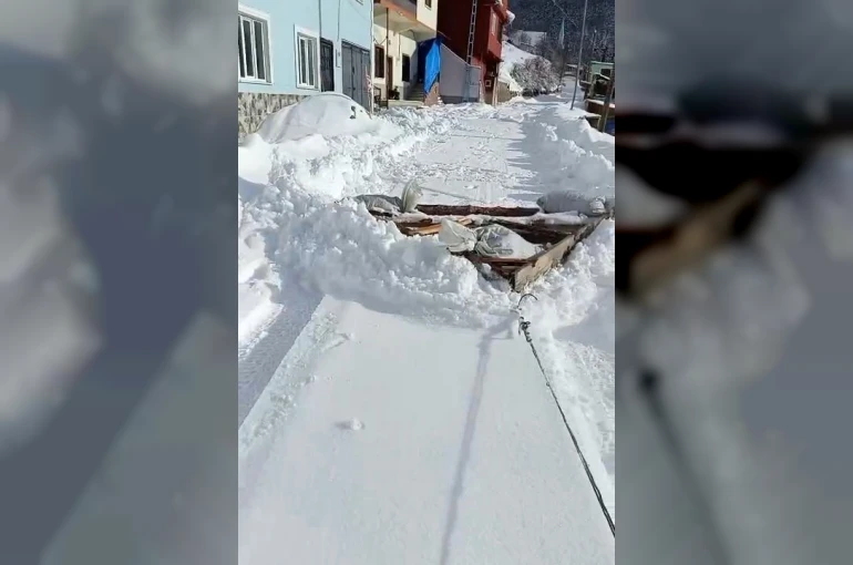 Karadenizli zekası