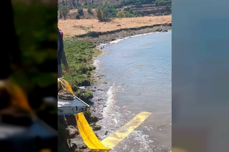 Karakoçan’da göletlere yavru balıklar bırakıldı