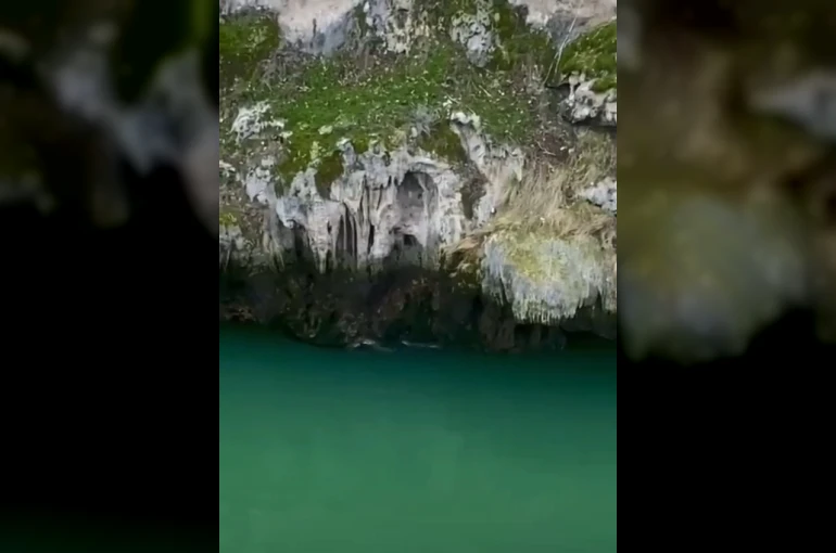 Karakoçan’da su samurları görüntülendi