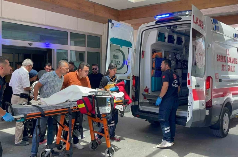 Karaman’da köpek dehşeti: 3 yaşındaki çocuk ağır yaralandı