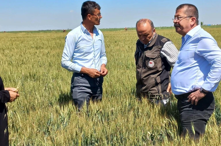Karapınar’da dolu afetinin etkilediği alanlarda inceleme