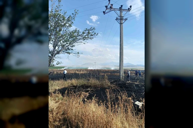 Karapınar’da buğday ekili tarlada yangın paniği
