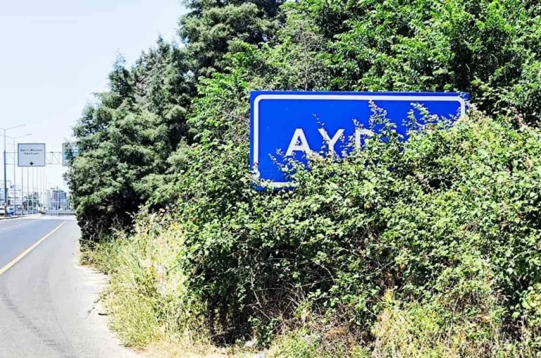 Karayolu üzerindeki Aydın tabelası çalılar arasında kaldı