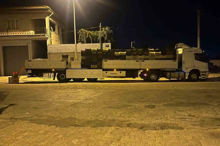Kardeşköy’de bamya sezonu hız kesmiyor