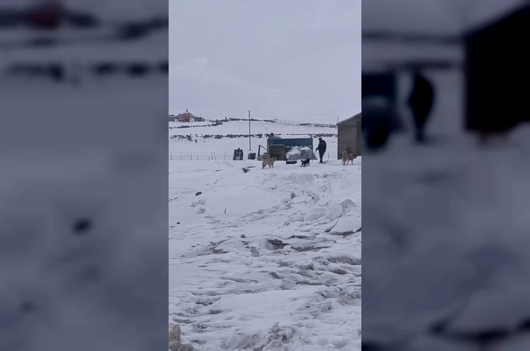 Kars’ın soğuğunda enerji mesaisi: Aras Edaş ekiplerinin soğukla imtihanı