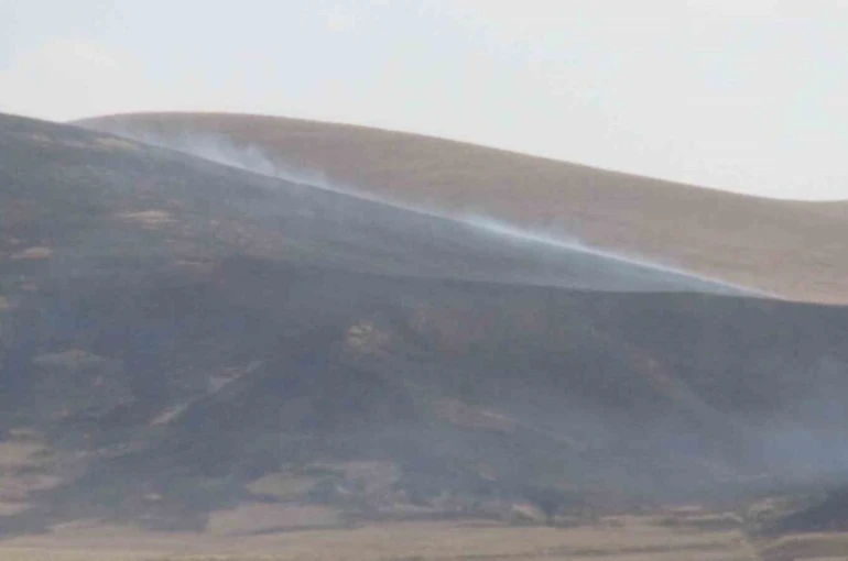 Kars’ta anız yangını