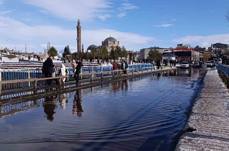 Kars’ta bahar havası: Güneşi gören kendisini dışarı attı