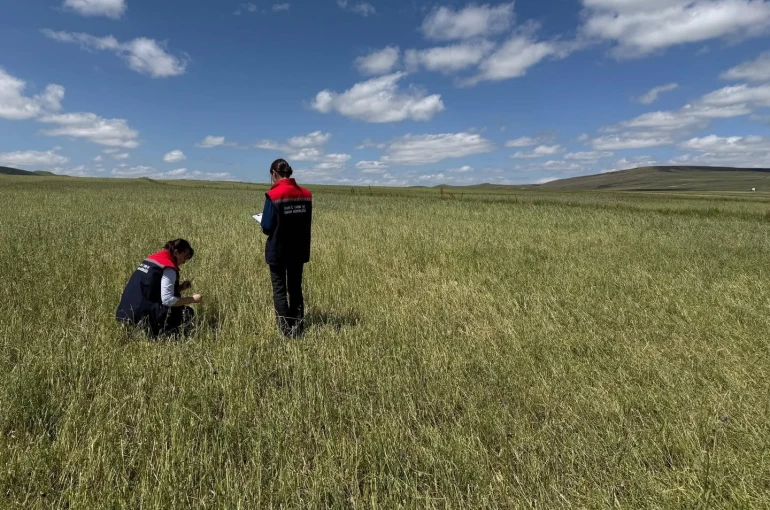 Kars’ta doğal afet sonrası seferberlik: Tarım ekipleri hasar tespiti için sahada