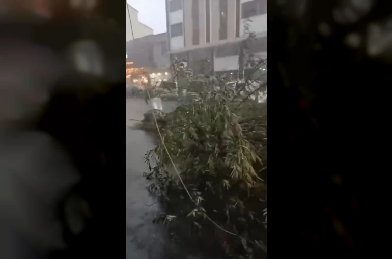 Kars’ta fırtına çatıları uçurdu, ağacı kökünden söktü