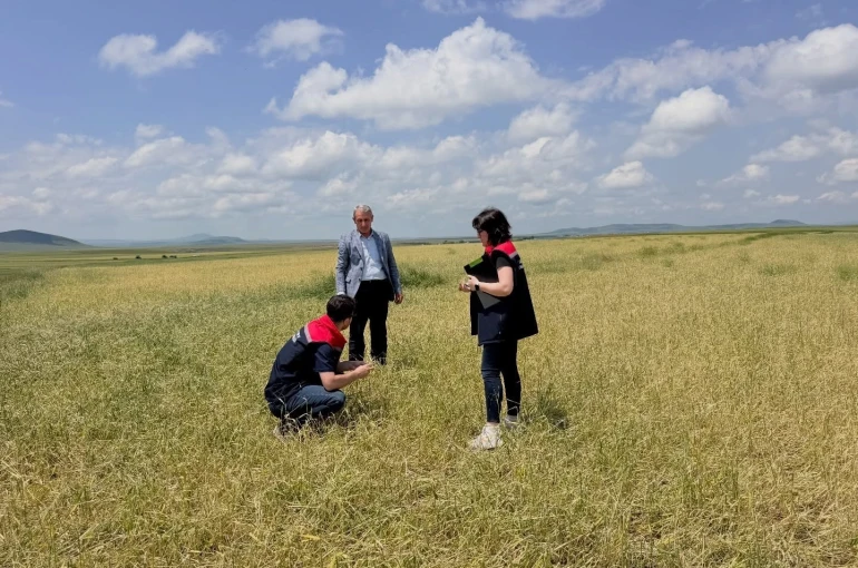 Kars’ta fırtına ve dolu sonrası hasar tespit çalışmaları başladı