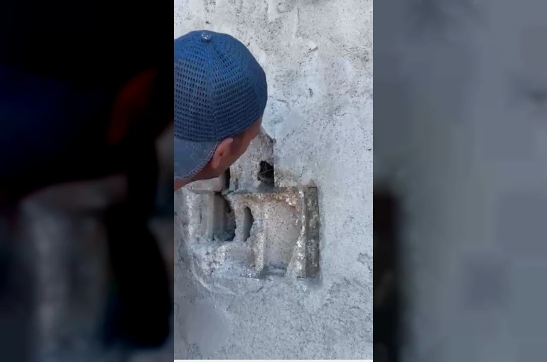Kars’ta sıva altından gelen ses hayat kurtardı: Usta duvarı kırıp kuş yavrularını kurtardı