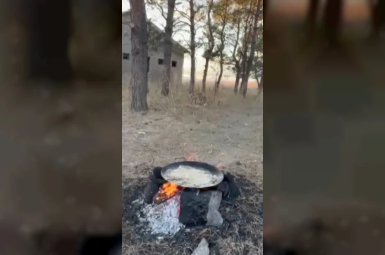 Kars’ta tilkiler yerleşim yerlerinde cirit atıyor