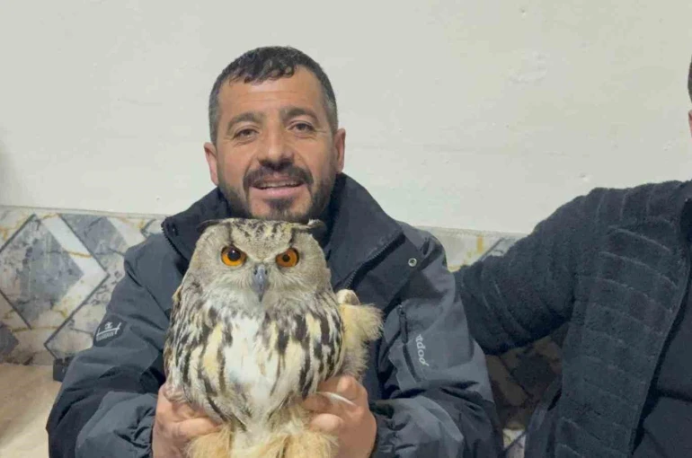 Kars’ta yaralı puhuya şefkat eli