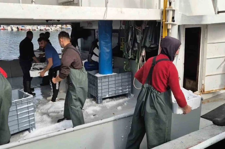 Kasa kasa balıkla döndüler:Tekirdağlı balıkçıların yüzü gülüyor