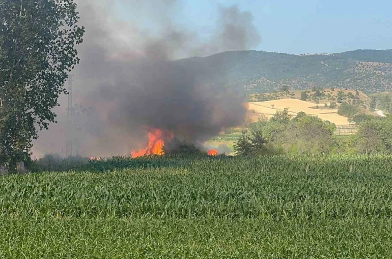 Kastamonu’da buğday tarlası alev alev yandı