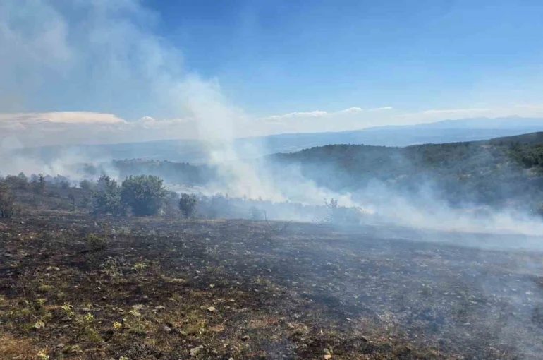 Kastamonu’da çıkan orman yangını kontrol altına alındı 