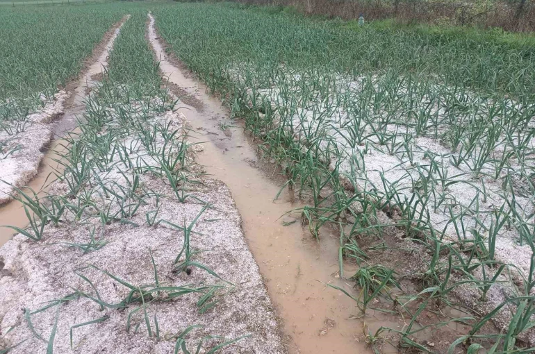 Kastamonu’da dolu yağışı etkili oldu