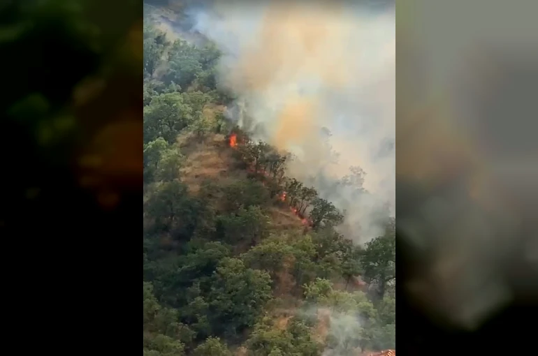 Kastamonu’da orman yangınında 40 dönümlük alan zarar gördü