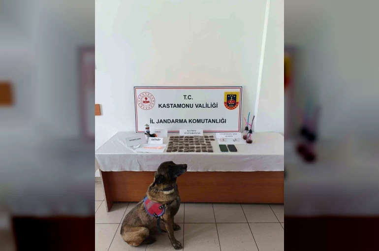 Kastamonu’da uyuşturucu operasyonu: 1 tutuklama