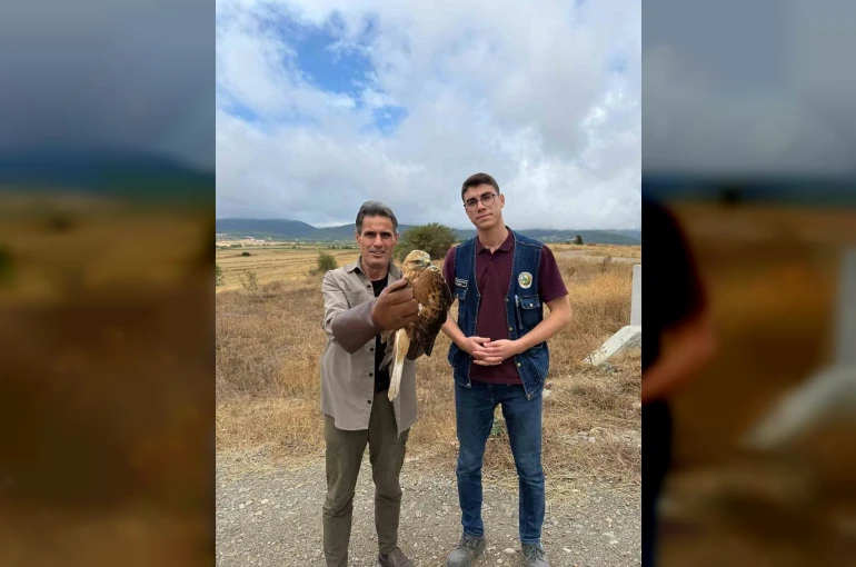 Kastamonu’da yaralı halde bulunan şahin tedavi altına alındı