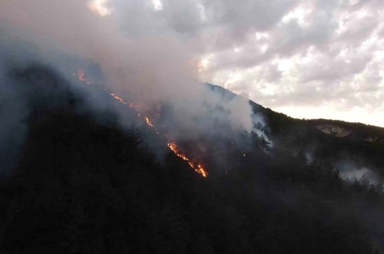 Kastamonu’daki orman yangınına müdahale sürüyor
