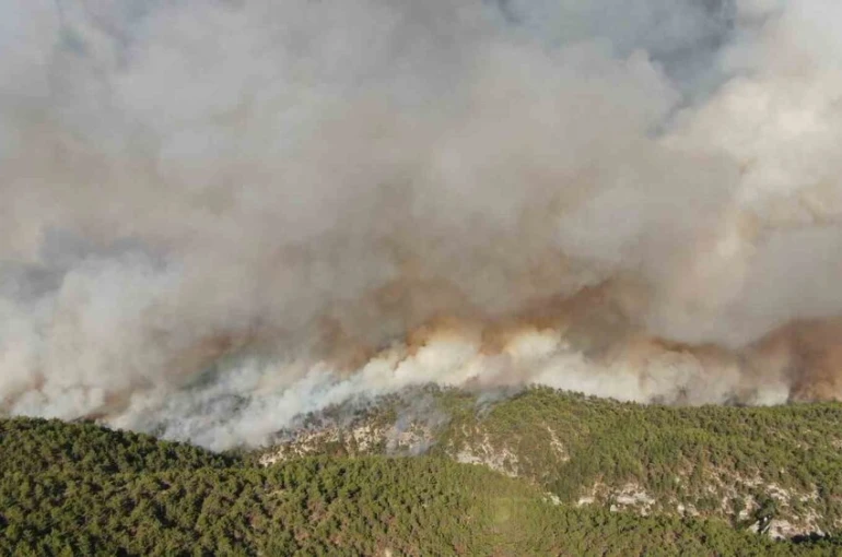 Kastamonu’daki orman yangınlarında 2 bin 736 hektar alan zarar gördü