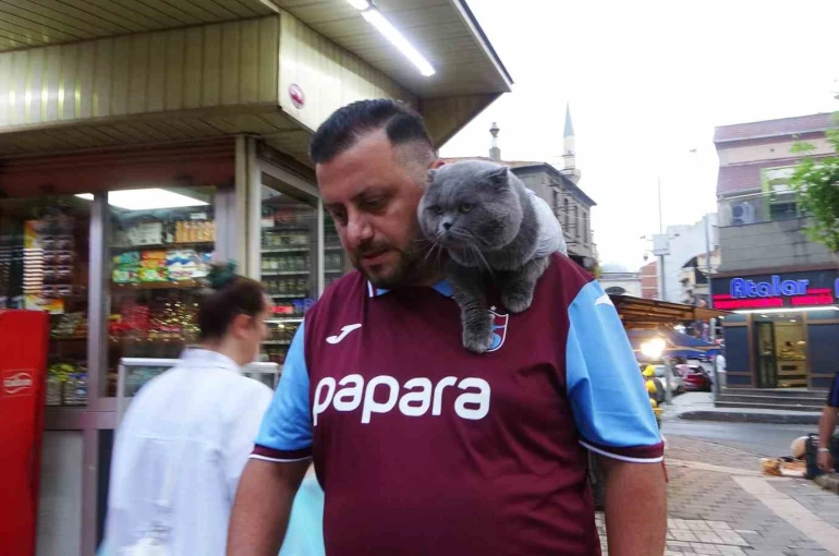 Kayıp kedi ’Tom’ 4 gün sonra bulundu