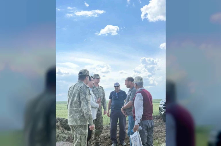Kaymakam Demirtaş, sınır devriye yolu çalışmalarını yerinde inceledi