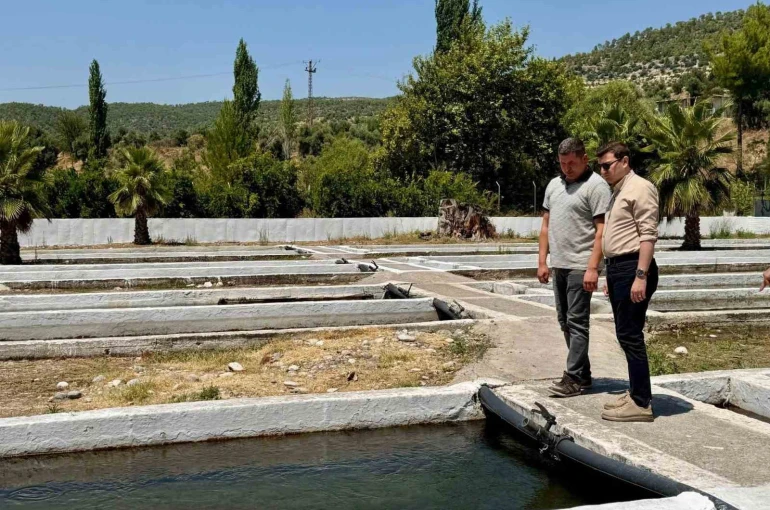 Kaymakam Sözen, tarım müdürlüğü ve su ürünleri işletmesinde incelemelerde bulundu