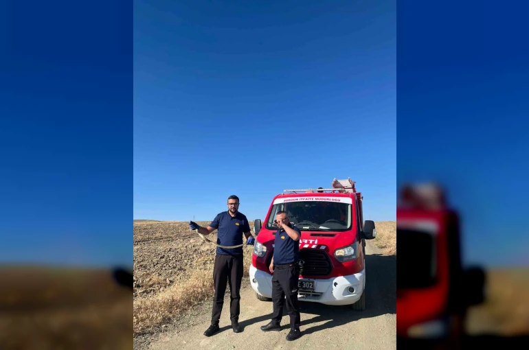 Kaymakamlık bahçesinde bulunan yılan doğaya bırakıldı