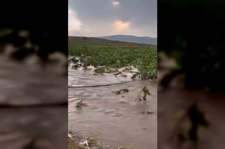 Kayseri’de tarım arazileri sular altında kaldı