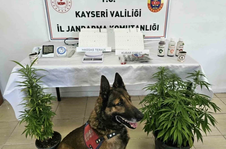 Kayseri’de uyuşturucu operasyonu