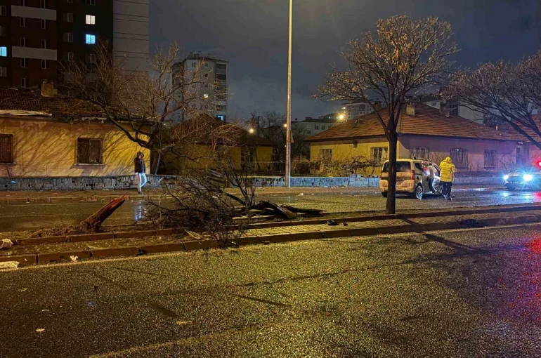 Kaza savrulan otomobil ağacı ikiye böldü: 4 yaralı