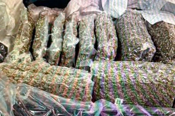 Kazakistan’da bagajında 21 kilo esrar taşıyan kadın gözaltına alındı 