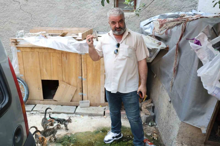 Kedi maması çalan hırsız vatandaşı canından bezdirdi