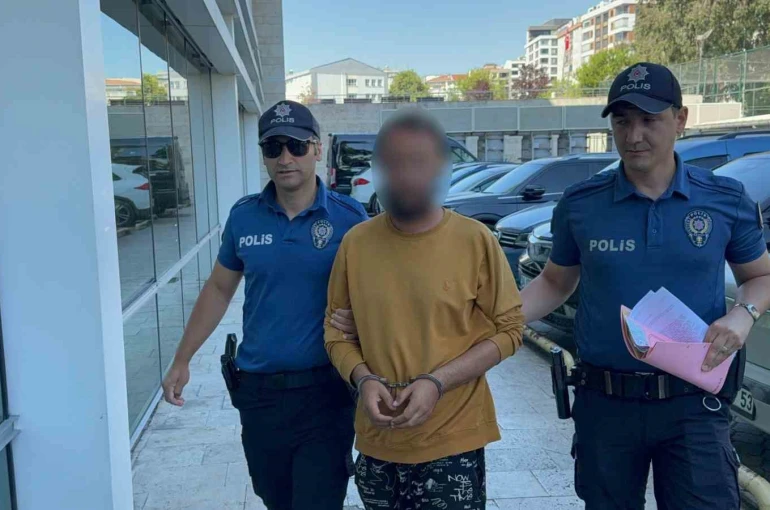 Kediye tekme atarken kameraya yansıyan şahıs yakalandı
