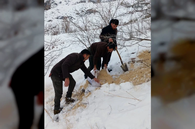 Kemah’ta yaban hayatı unutulmadı