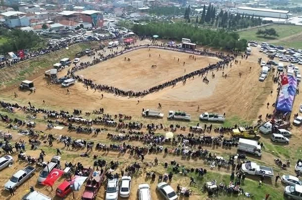 Kemalpaşa’da 3. Boğa Güreşi Festivali heyecanı