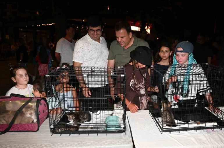 Kemer Belediyesi’nde "Can dostları" için konser