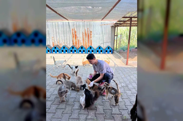 Kemer’de haziran ayında 189 sokak hayvanı kısırlaştırıldı
