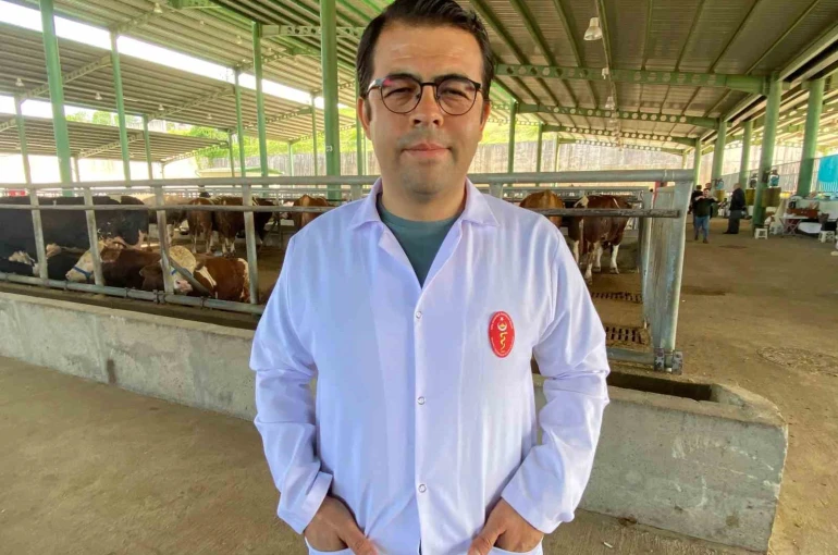 Kene tehdidine dikkat: 200’den fazla hastalık etkeni taşıyabiliyor