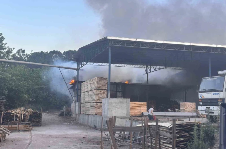 Kereste işletmesinde korkutan yangın