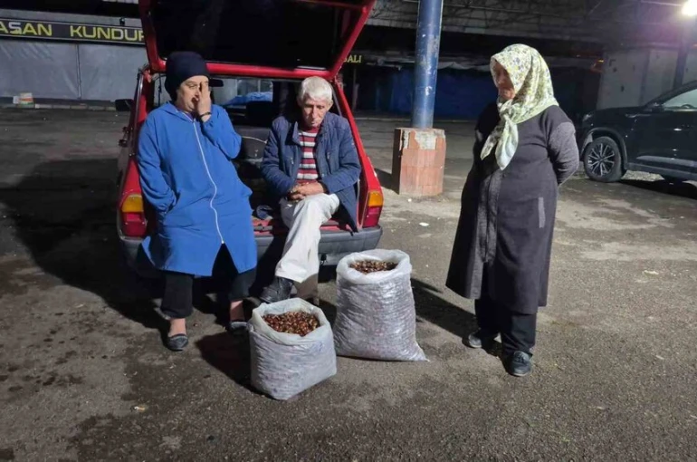 Kestane rekoltesi kuraklık sebebiyle düştü
