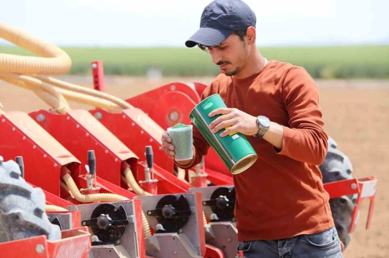 ‘Kiralık tarla’ uygulaması başladı, uzmanlardan uyarı geldi