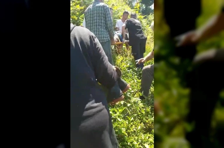 Kiraz toplamak için çıktığı ağaçtan düştü