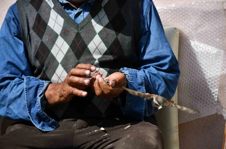 Kırdığı çekirdeklerle kuşlara sofra kuruyor