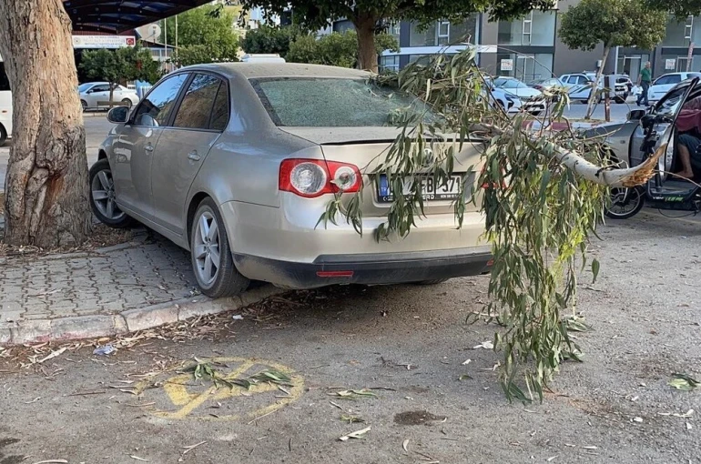 Kırılan ağaç dalı otomobile zarar verdi