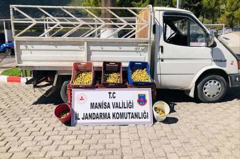 Kırkağaç’ta meyve bahçesinden incir çalan 5 kişi suçüstü yakalandı